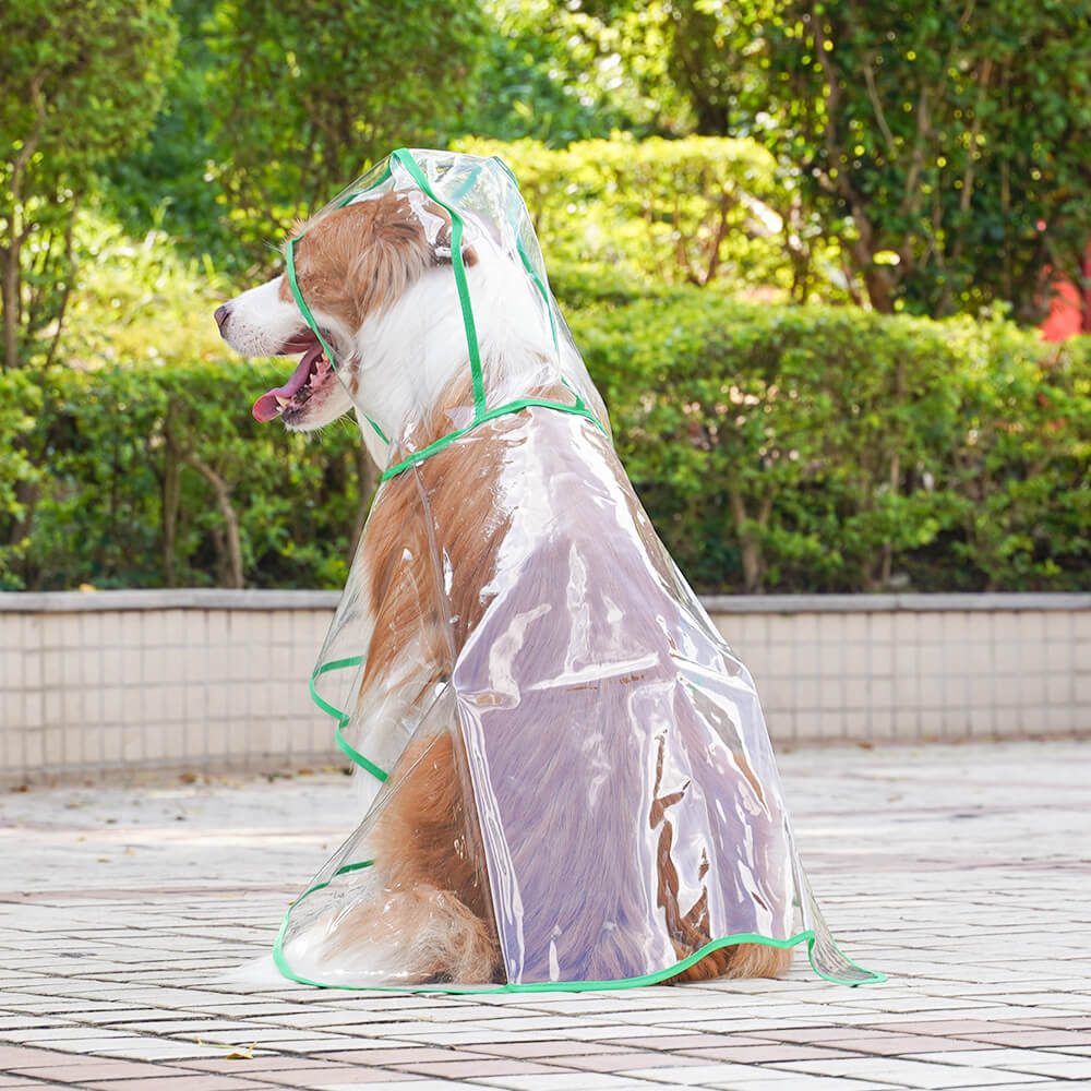 Imperméable à capuchon extérieur imperméable transparent d'EVA pour chien