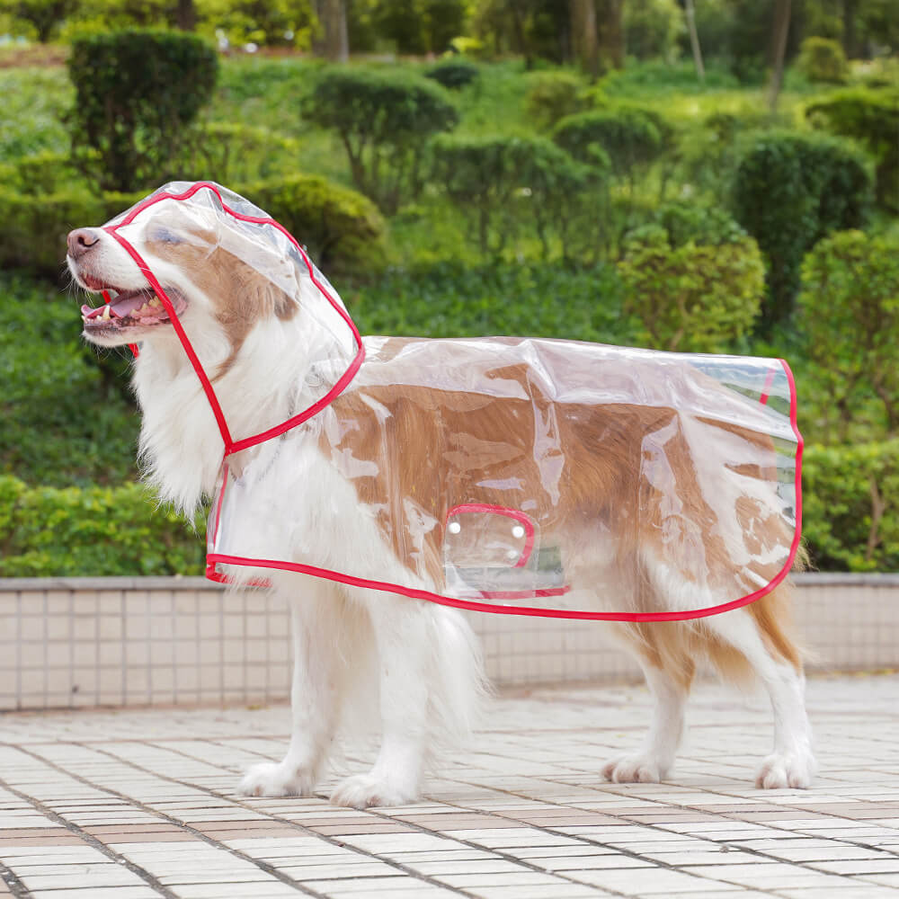 Imperméable à capuchon extérieur imperméable transparent d'EVA pour chien