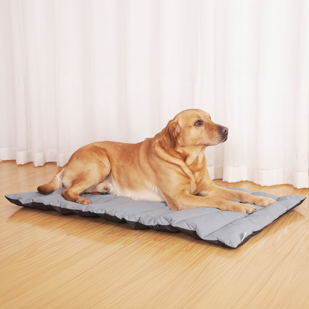 Travel Foldable Waterproof Durable Outdoor Dog Mat