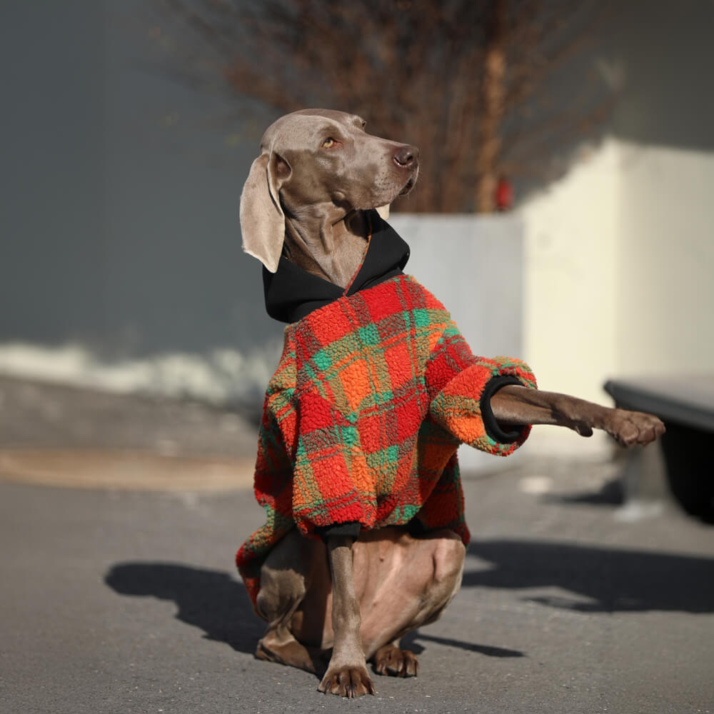 Vintage Leisure Square Striped Warm Dog Hoodie