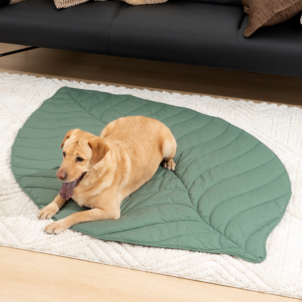 Couverture pour chien en forme de très grande feuille, tapis humain