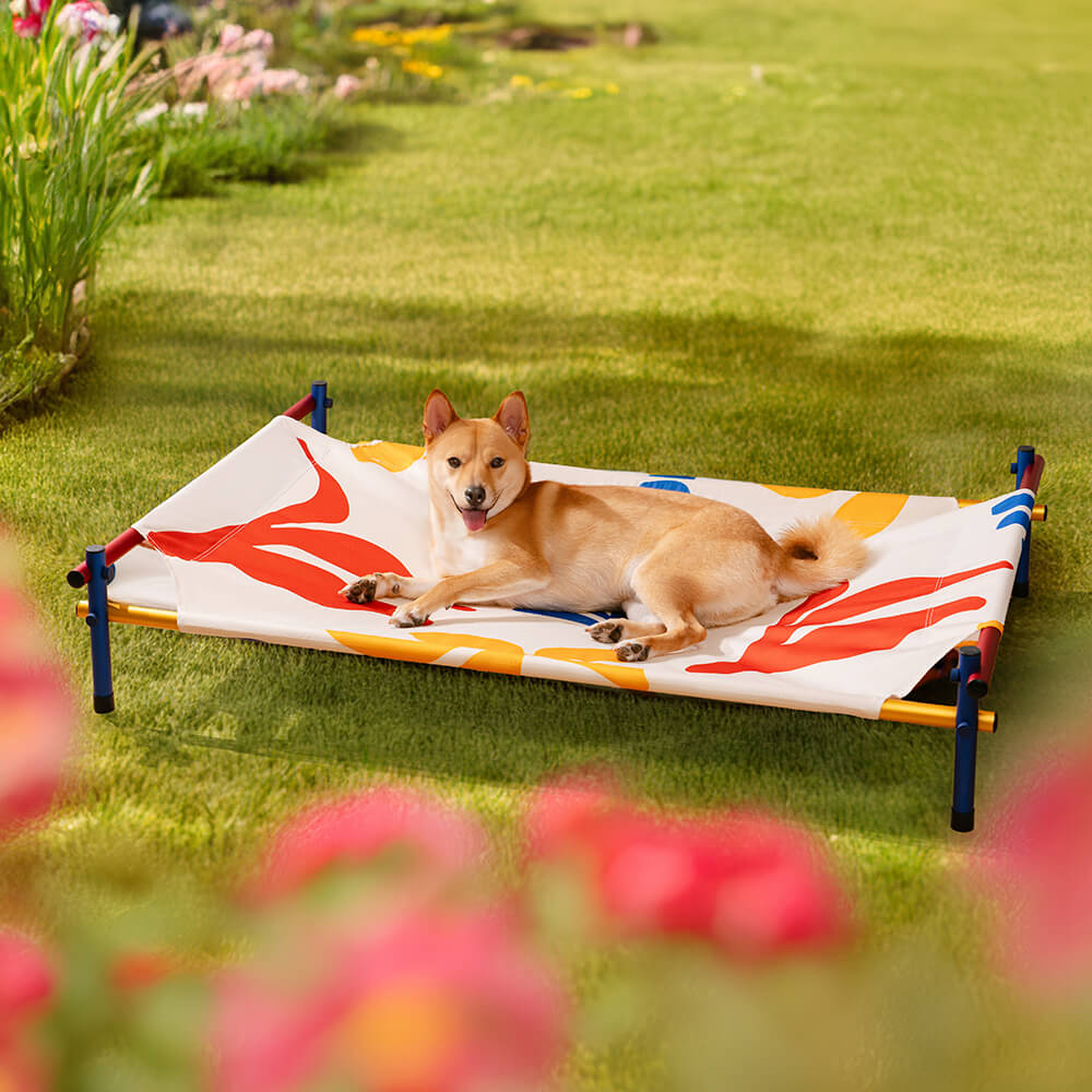 Cama elevada para perros de aluminio con estampado vibrante de verano - Summer Paradise