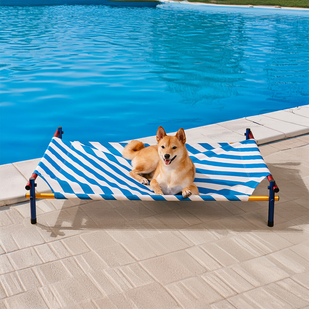 Cama elevada para perros de aluminio con estampado vibrante de verano - Summer Paradise