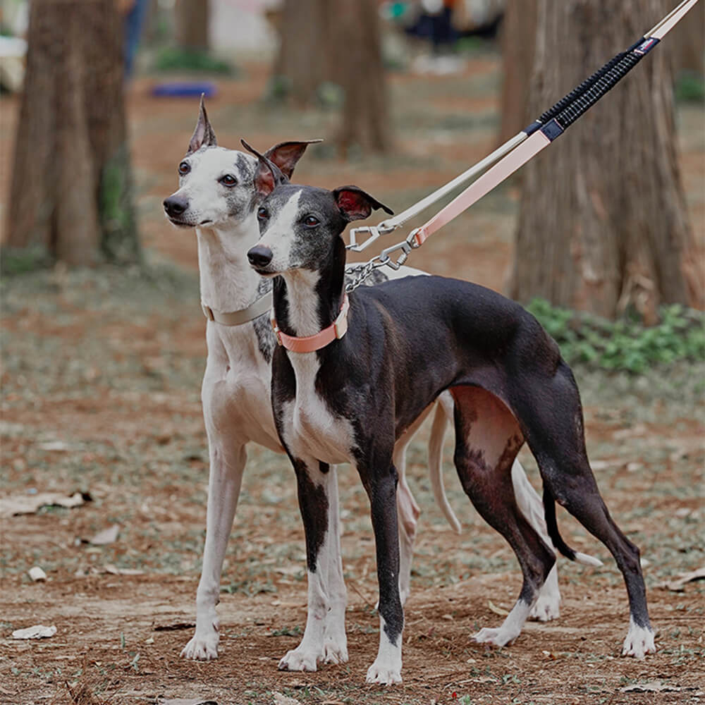 Kettenreaktions-Anti-Pull-Martingale-Hundetrainingshalsband