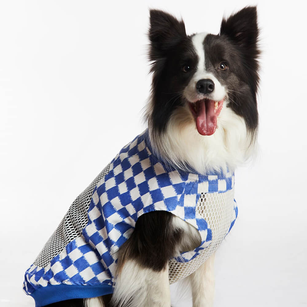 Gilet pour grand chien, respirant, sans manches, à la mode