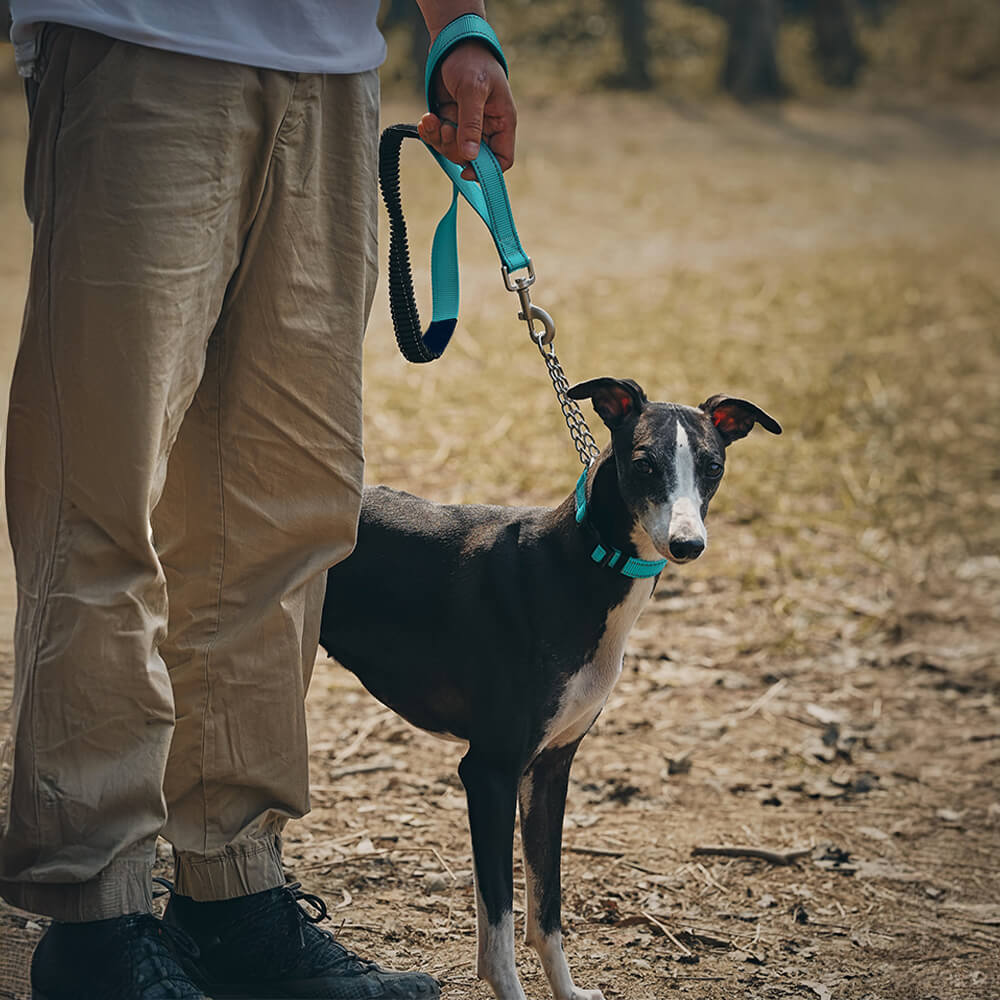 Multifunctional Reflective Anti-Pull Dog Collar and Leash