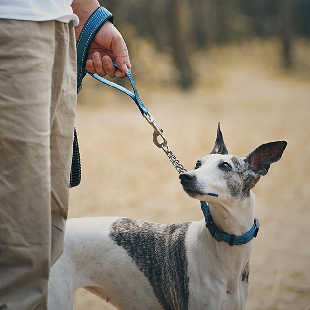 Multifunktionales reflektierendes Anti-Pull-Hundehalsband und Leine