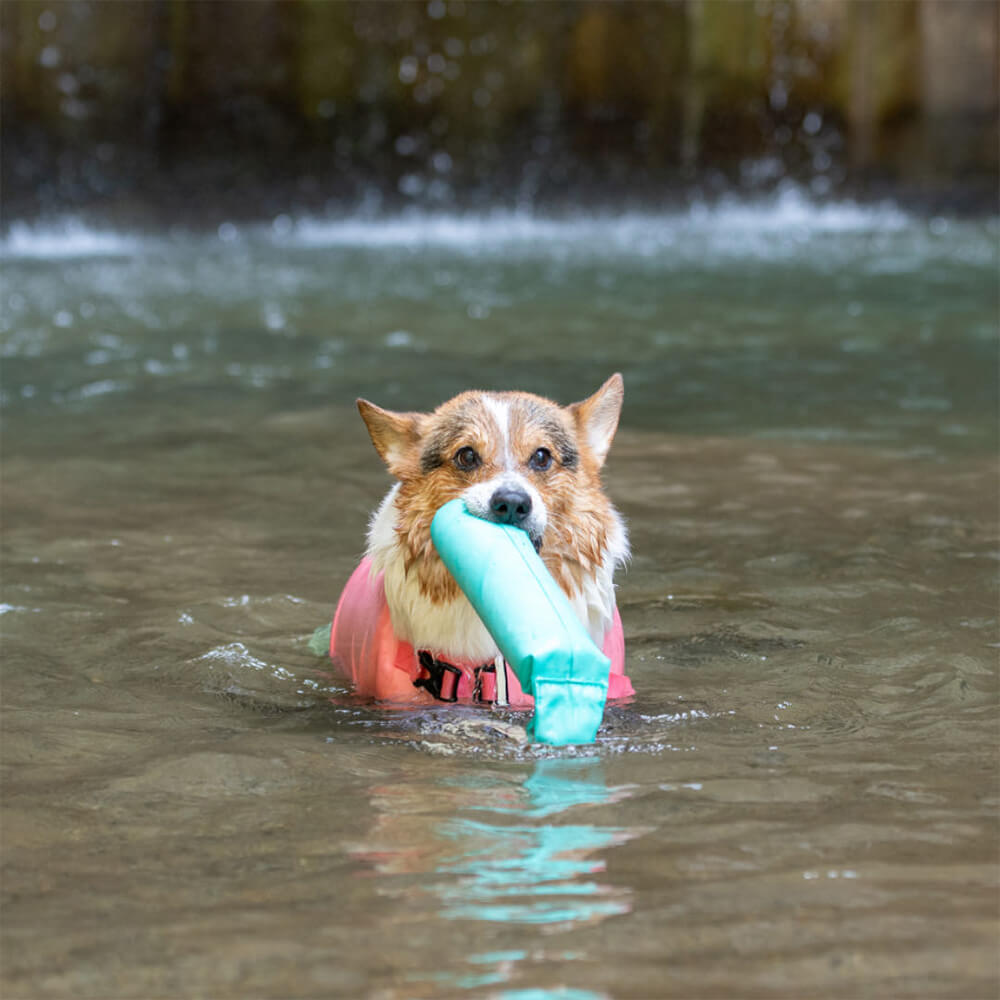 Juguetes interactivos al aire libre resistentes a tirar juguetes flotantes para perros