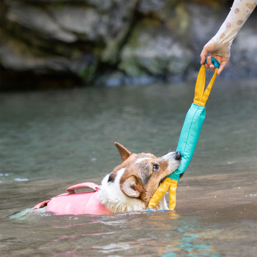 Juguetes interactivos al aire libre resistentes a tirar juguetes flotantes para perros