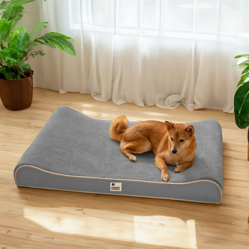 Cama ortopédica para perros con sillón lujoso para perros Nobility