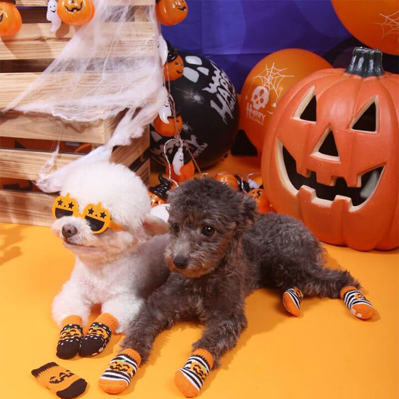 Lunettes de chien citrouille de mode de décoration d'Halloween