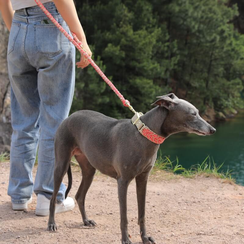 Juego de correa y collar para perro antitirones multifuncionales de cuero tejido a mano