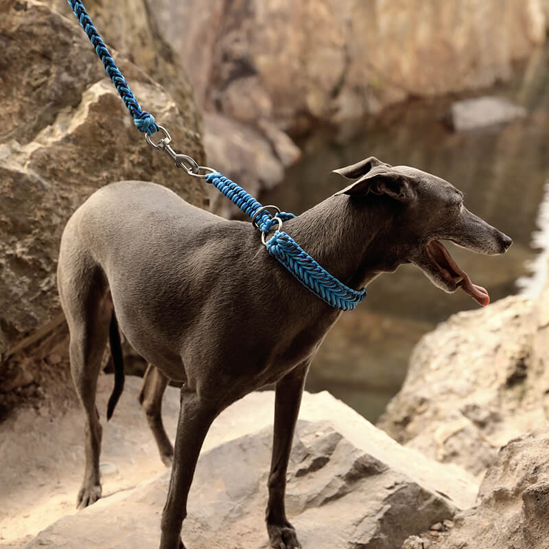 Collar y correa para perros grandes luminosos antitirones hechos a mano