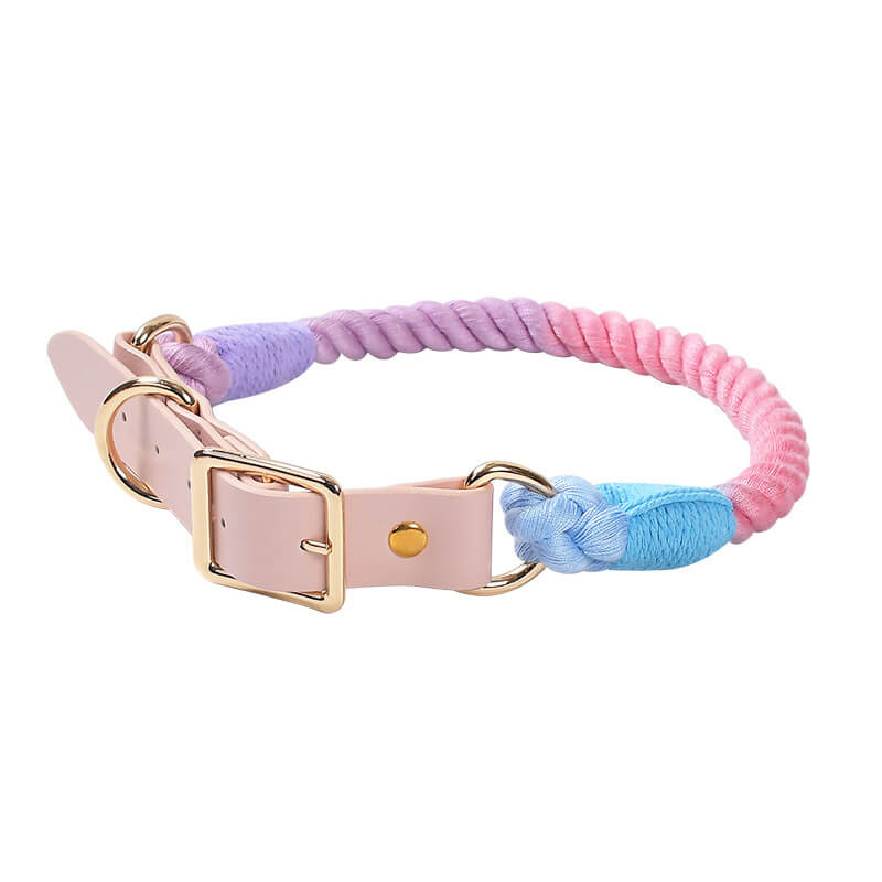 Collier et laisse pour chien en cuir tissé à la main, sans traction