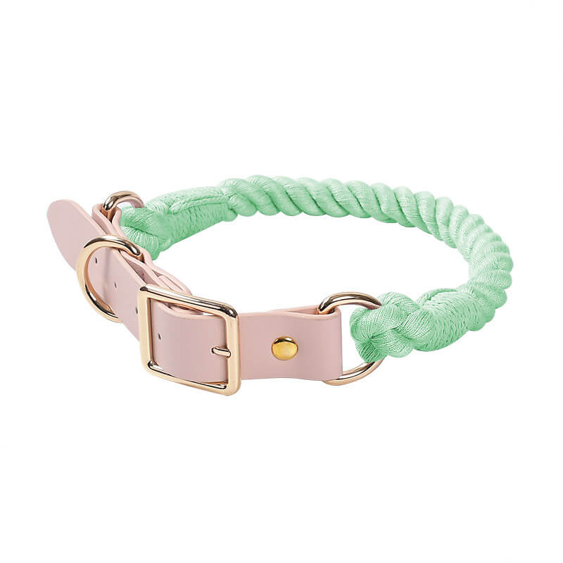 Collier et laisse pour chien en cuir tissé à la main, sans traction