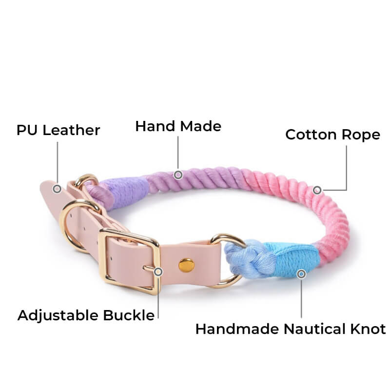 Collier et laisse pour chien en cuir tissé à la main, sans traction