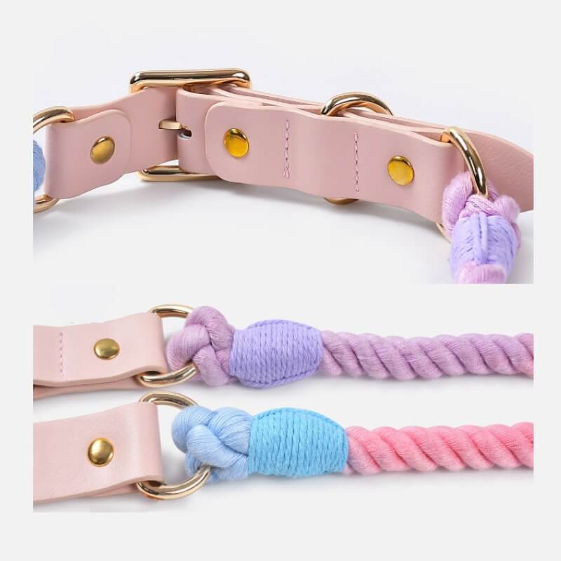 Collier et laisse pour chien en cuir tissé à la main, sans traction