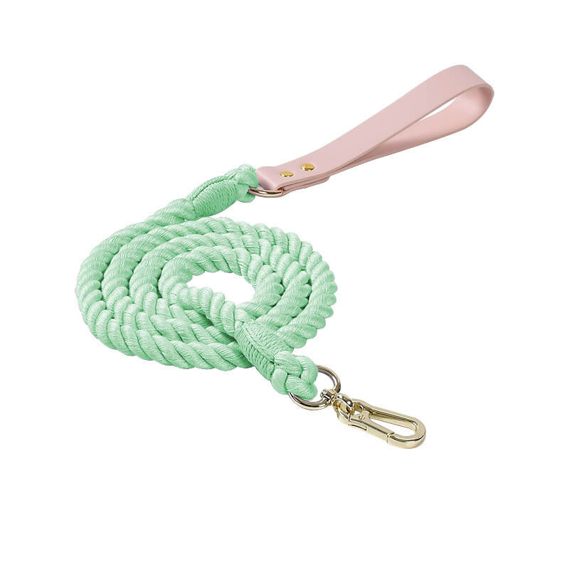 Collier et laisse pour chien en cuir tissé à la main, sans traction