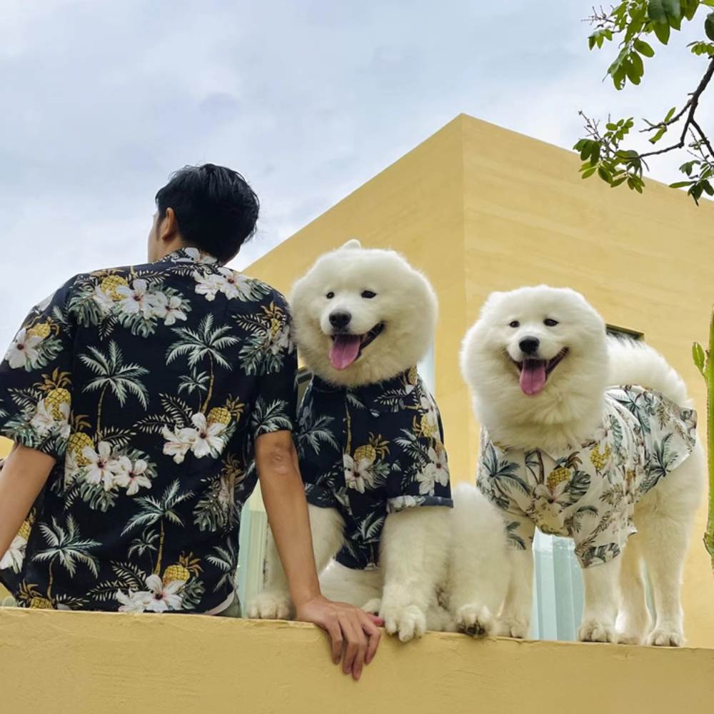 Chemise hawaïenne assortie pour vêtements de chien et de propriétaire