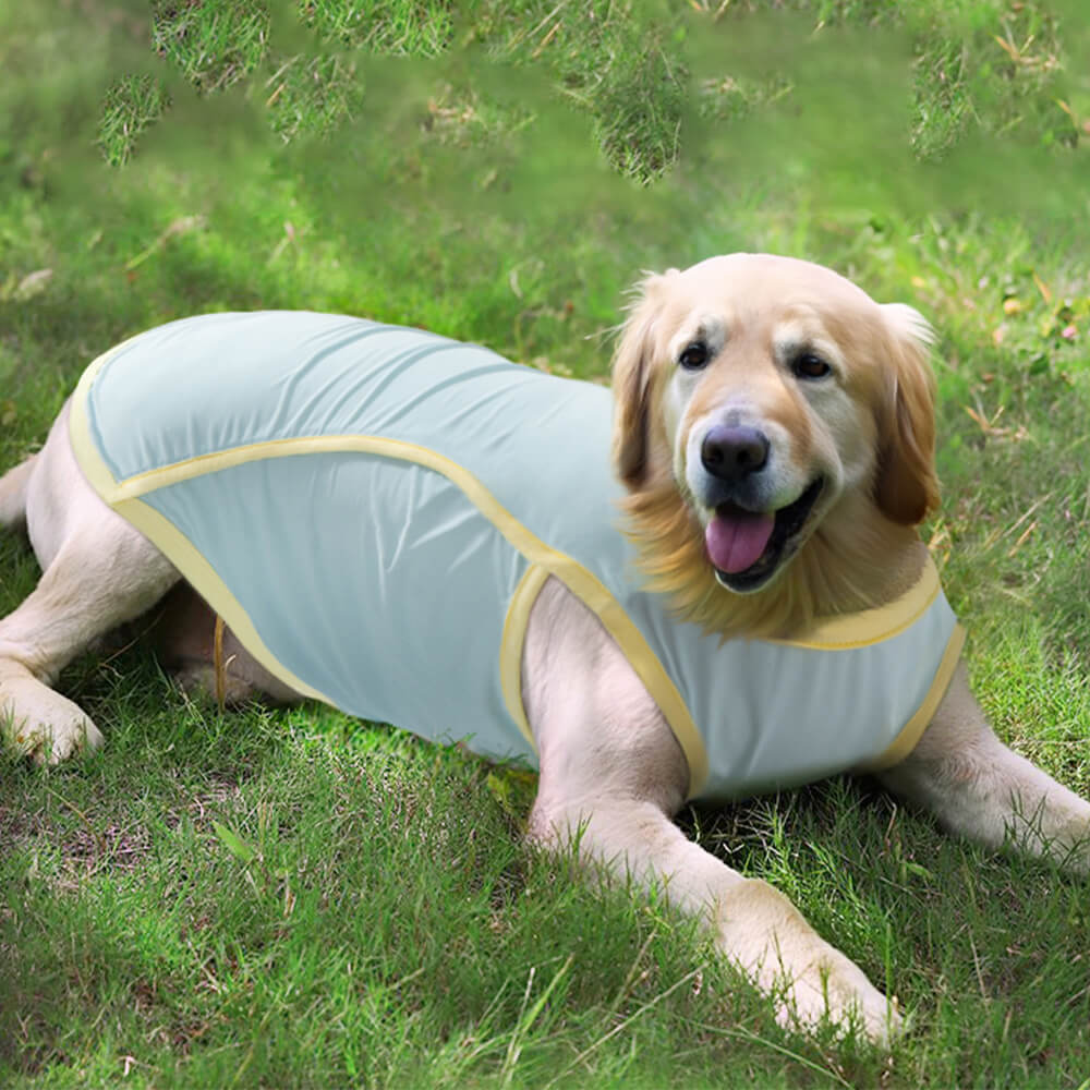 Vêtements pour chiens refroidissants en soie glacée, gilet de Protection contre les coups de soleil pour chiens