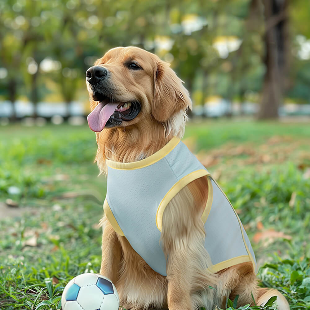 Vêtements pour chiens refroidissants en soie glacée, gilet de Protection contre les coups de soleil pour chiens