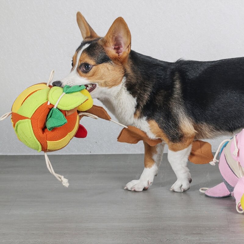 Puzzle interactif, jouet grinçant, boule de feuille, distributeur de friandises pour chien