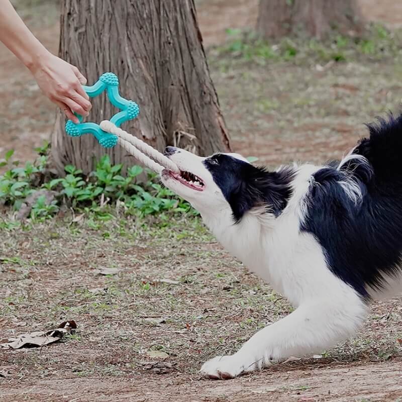 Interaktives Tauziehen-Hundespielzeug, Zahnreinigung, Kauspielzeug aus Gummi