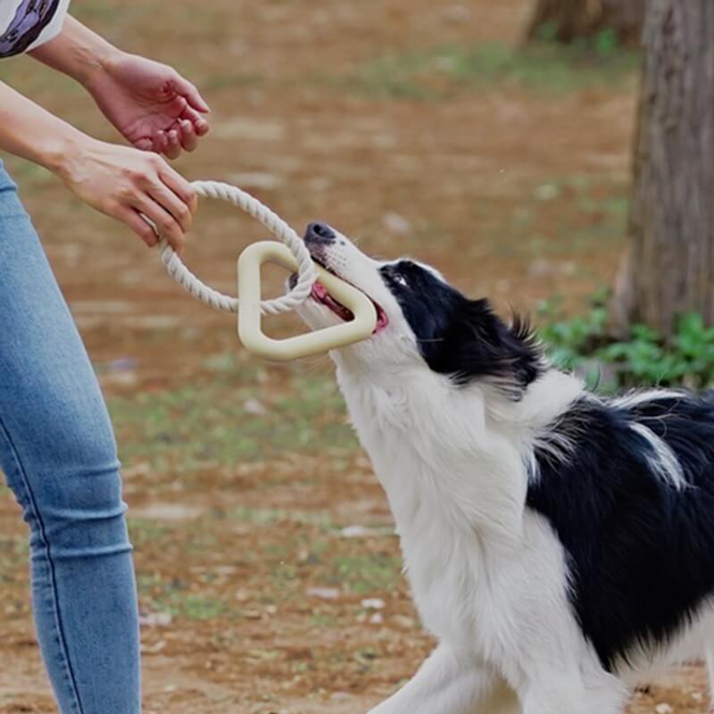 Juguete interactivo para perros de tira y afloja, juguete para masticar de goma con limpieza de dientes