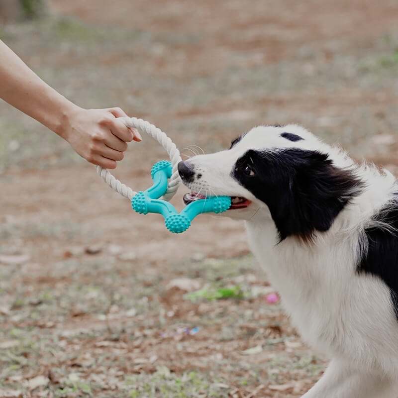 Juguete interactivo para perros de tira y afloja, juguete para masticar de goma con limpieza de dientes