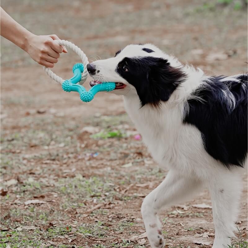 Interaktives Tauziehen-Hundespielzeug, Zahnreinigung, Kauspielzeug aus Gummi