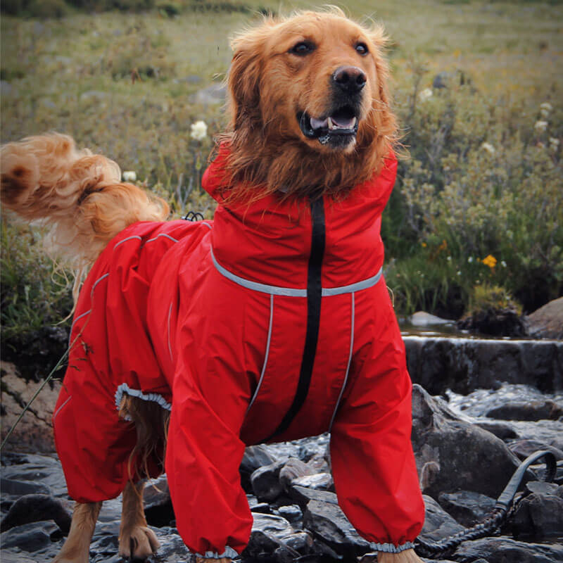 Veste d'extérieur pour grand chien, manteau de pluie imperméable et réglable pour chien