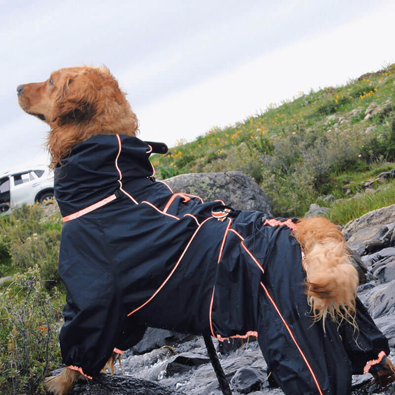 Large Dog Outdoor Jacket Waterproof Adjustable Dog Rain Coat