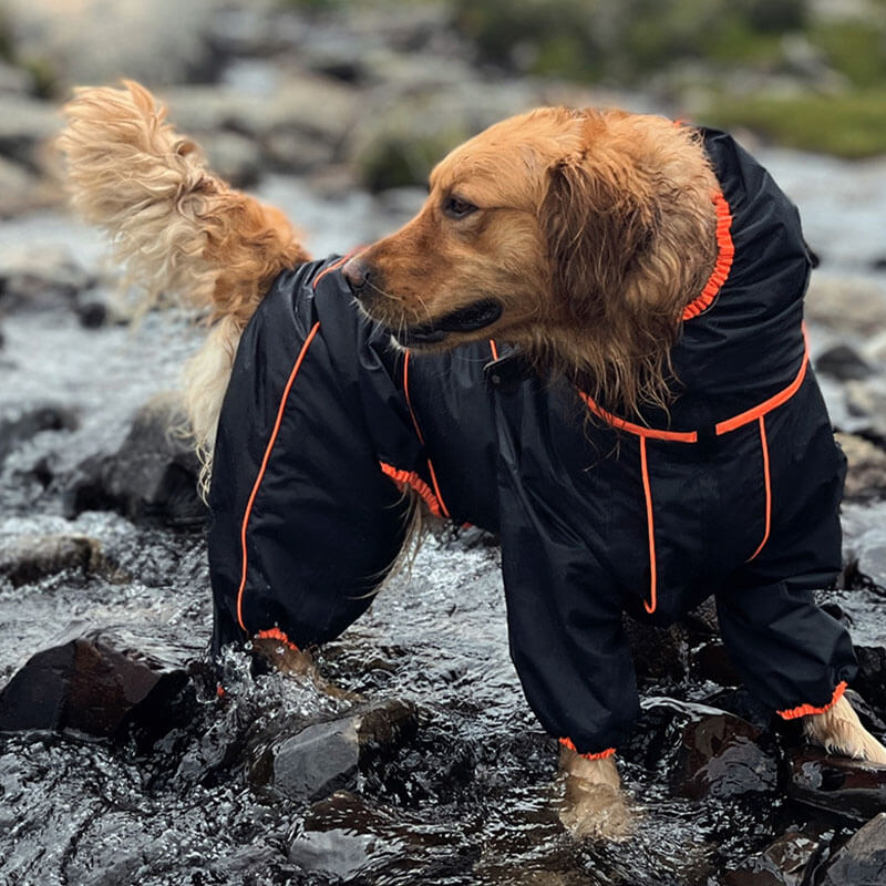 Chaqueta impermeable para exteriores para perros grandes, impermeable, ajustable, para lluvia