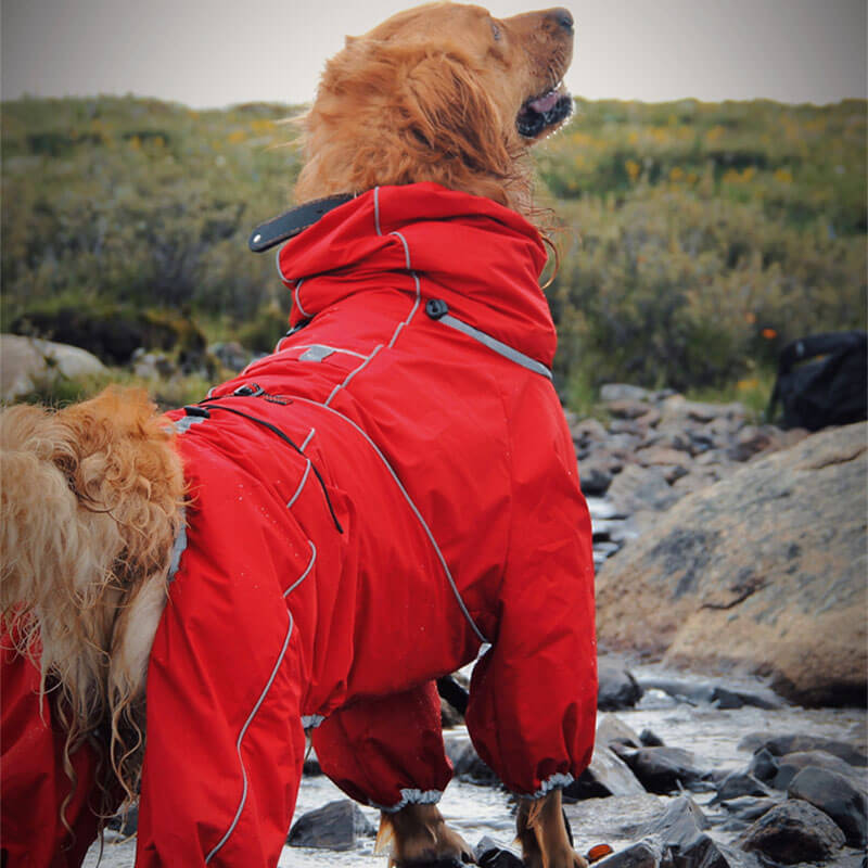 Chaqueta impermeable para exteriores para perros grandes, impermeable, ajustable, para lluvia