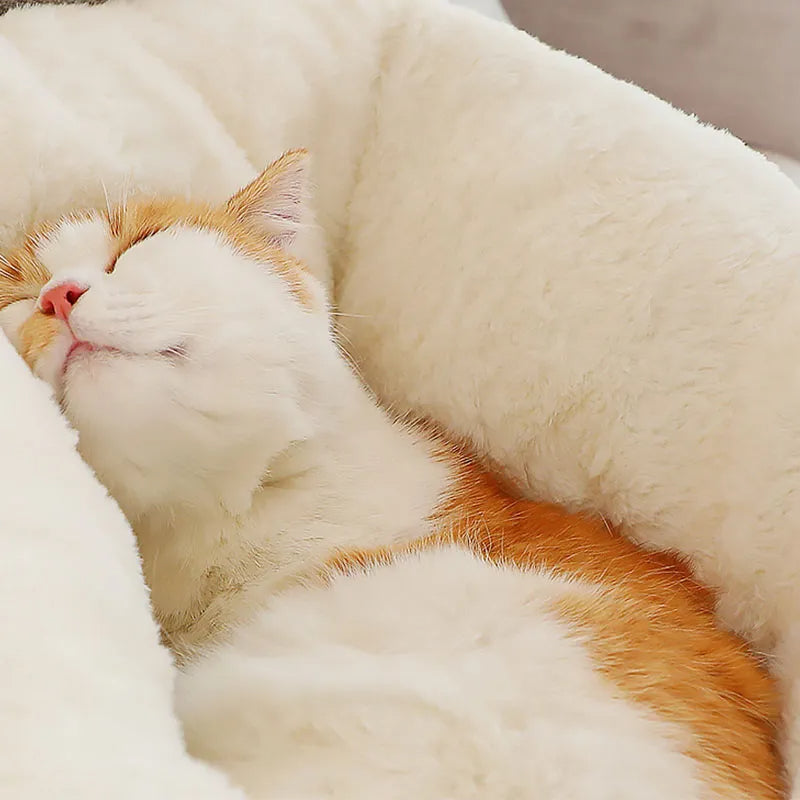 Joli lit pour chat à sommeil profond avec oreilles de lapin