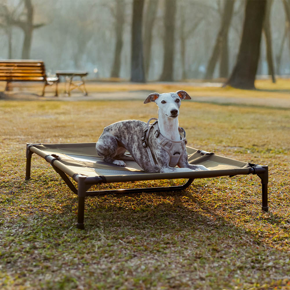 Multi-Functional Breathable Cooling Elevated Dog Bed with Canopy - PawAir