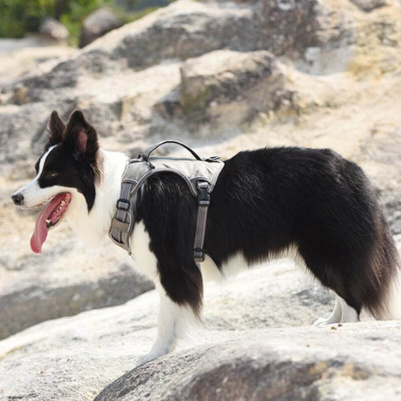 Multifunction Explosion-Proof Anti Pull Harness Medium to Large Dog Harness