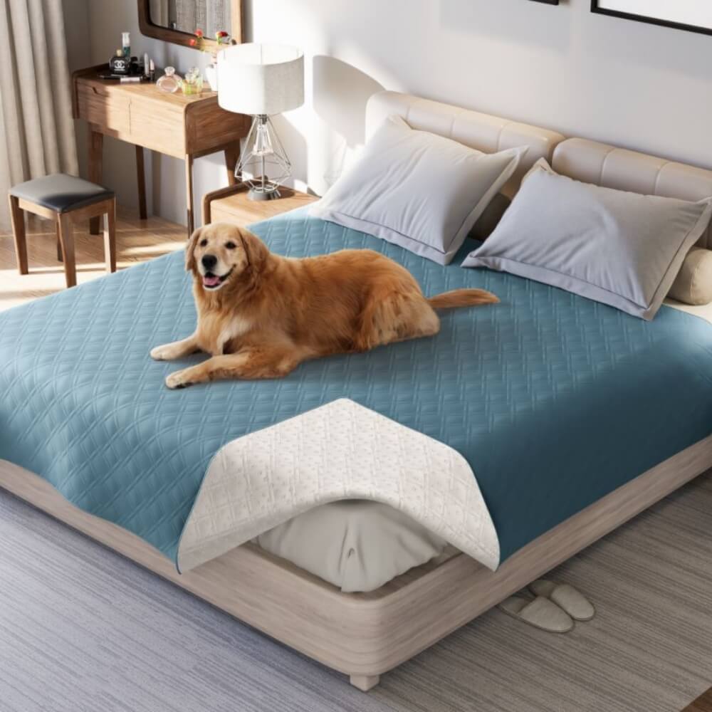 Couverture imperméable multifonctionnelle pour animaux de compagnie, drap plat de protection de matelas