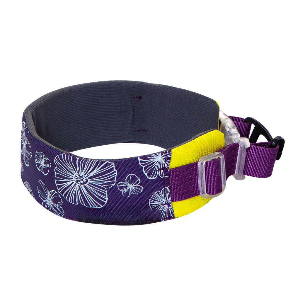 Collier d'accessoires pour chien élégant et confortable sans traction