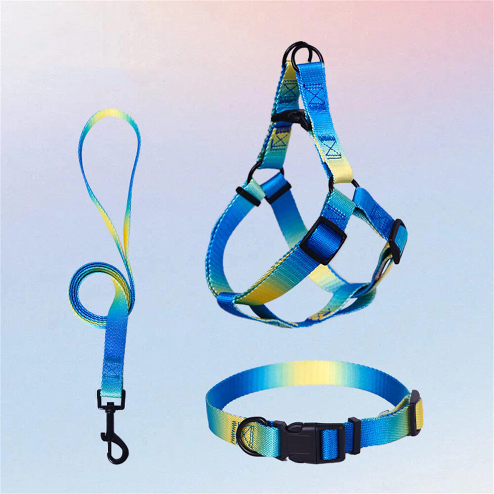 Colorful Gradient Dog Traction Rope and Chest Harness - Anti-Breakaway Design