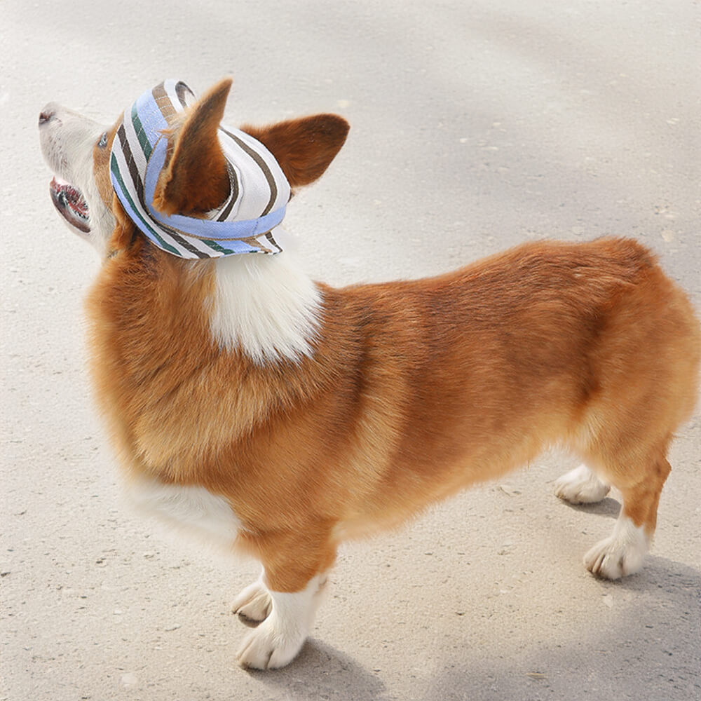 Gorro para deportes al aire libre con agujeros para las orejas, gorra ajustable con protección solar para perros