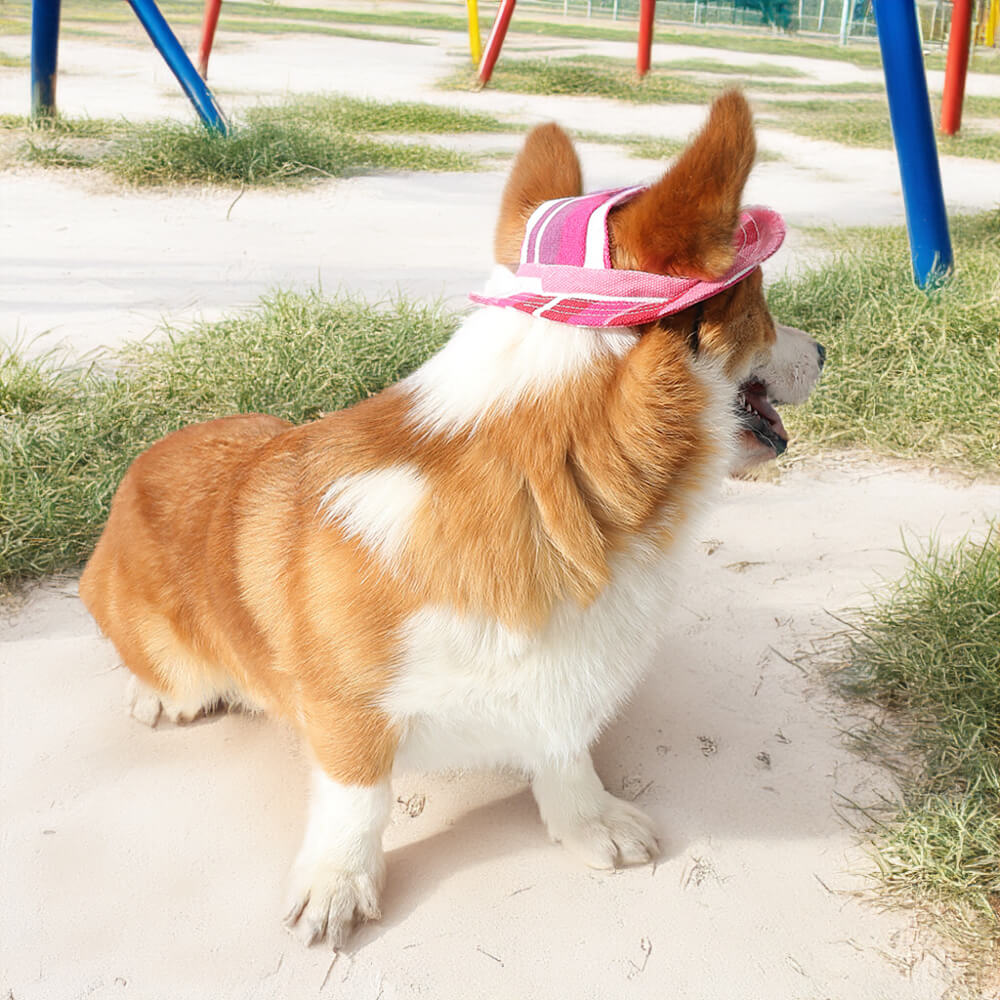 Gorro para deportes al aire libre con agujeros para las orejas, gorra ajustable con protección solar para perros