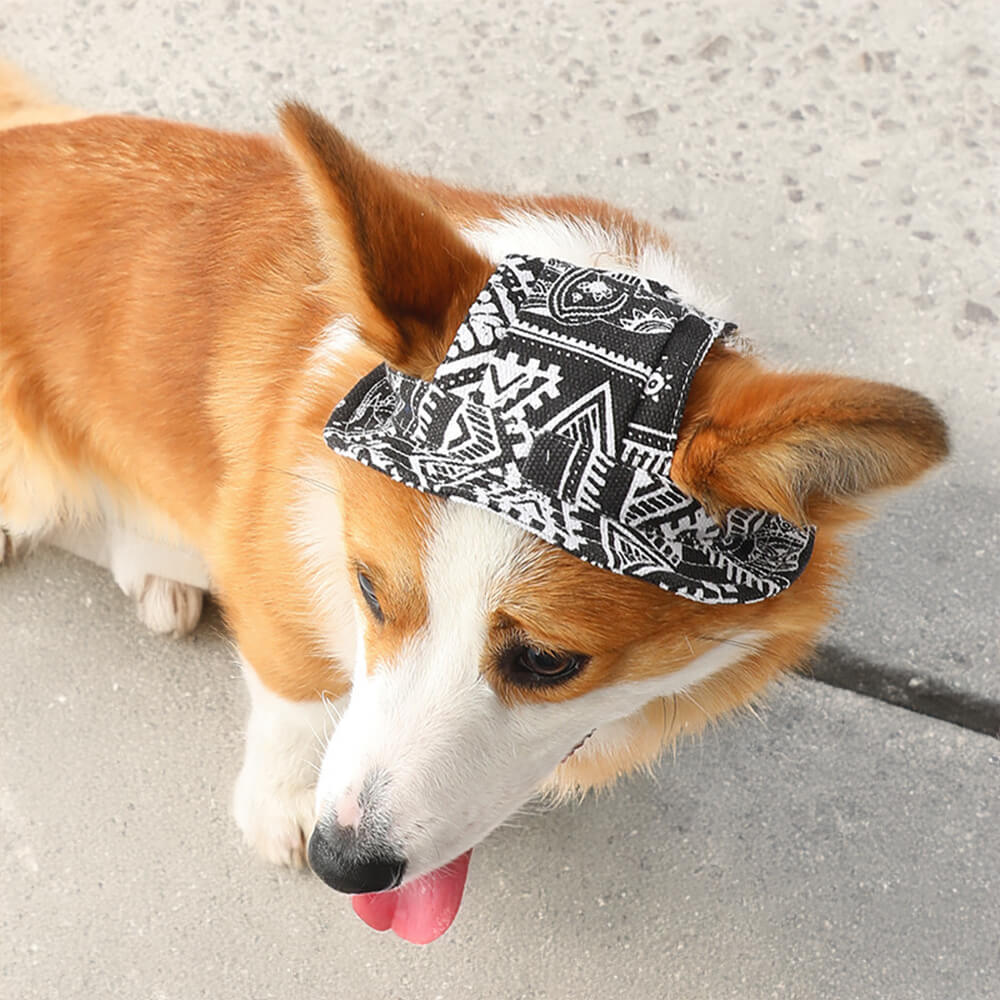 Gorro para deportes al aire libre con agujeros para las orejas, gorra ajustable con protección solar para perros