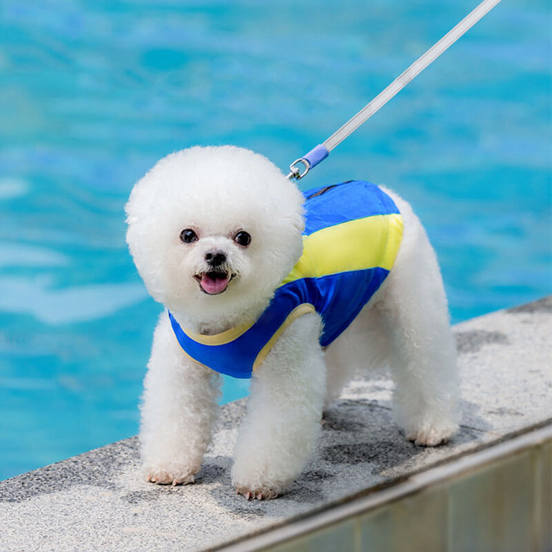 Outdoor-Sport-Haustier-Sonnenschutzkleidung, cooles Hundezubehör, Kühlweste