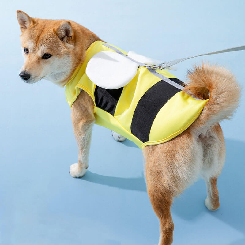 Deportes al aire libre ropa de protección solar para mascotas accesorios para perros geniales chaleco de enfriamiento