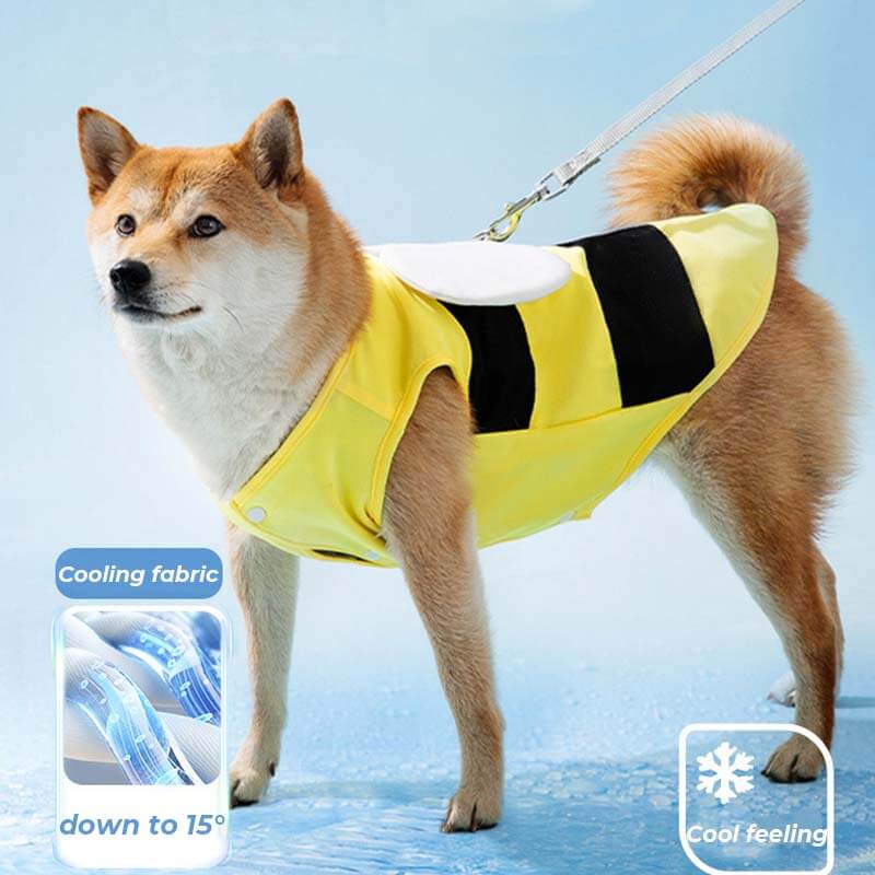 Outdoor-Sport-Haustier-Sonnenschutzkleidung, cooles Hundezubehör, Kühlweste