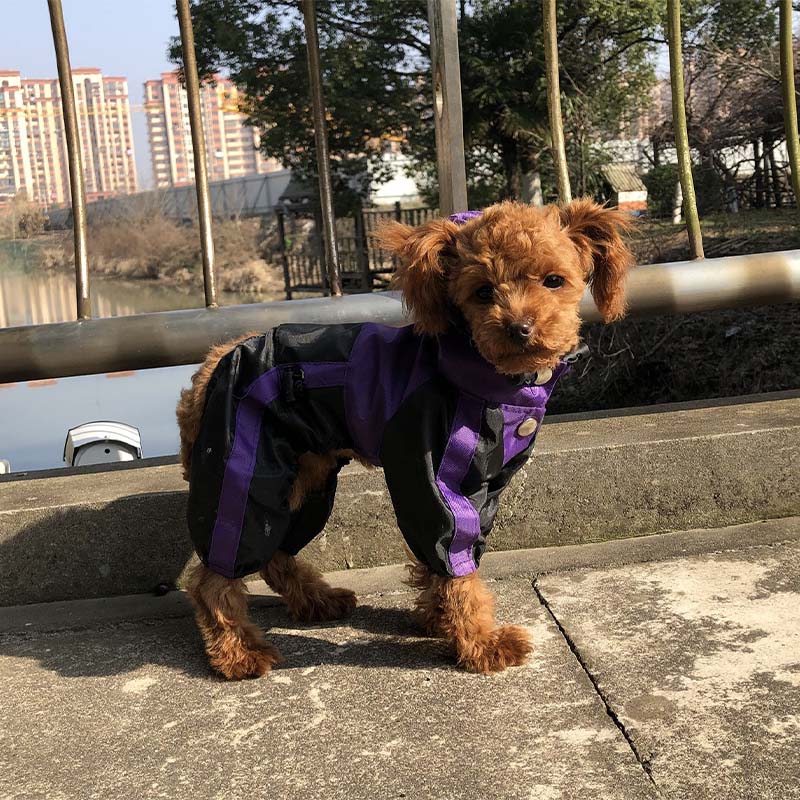 Impermeable de cobertura completa para perros impermeable de tela Oxford con patas y capucha