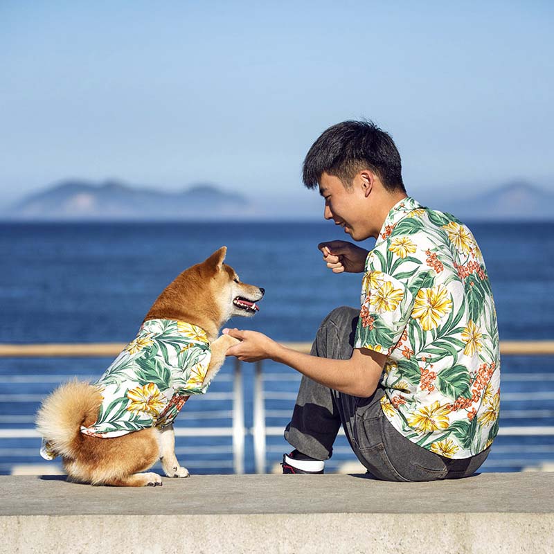 Hawaiianisches passendes Hemd für Hunde- und Besitzerkleidung