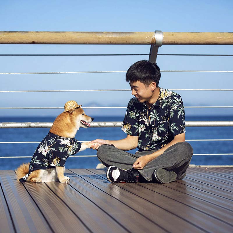 Chemise hawaïenne assortie pour vêtements de chien et de propriétaire