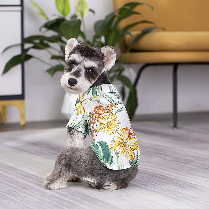 Chemise hawaïenne assortie pour vêtements de chien et de propriétaire